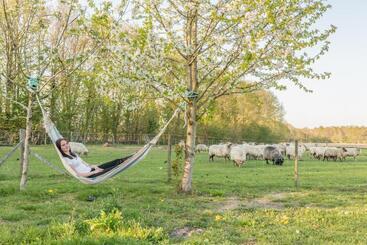 Bed and Breakfast Pipowagen Lidewei Groningen Westerwolde Unieke Ligging Met Eigen Tuin En Vrij Uitzicht Over Veld Naa