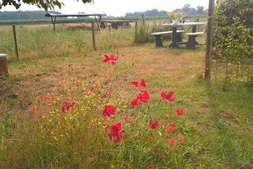 צימר Pipowagen Lidewei Groningen Westerwolde Unieke Ligging Met Eigen Tuin En Vrij Uitzicht Over Veld Naa