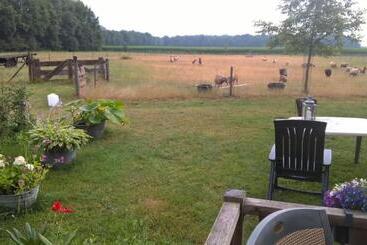 צימר Pipowagen Lidewei Groningen Westerwolde Unieke Ligging Met Eigen Tuin En Vrij Uitzicht Over Veld Naa