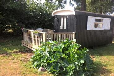 צימר Pipowagen Lidewei Groningen Westerwolde Unieke Ligging Met Eigen Tuin En Vrij Uitzicht Over Veld Naa