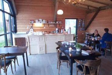 Bed and Breakfast Pipowagen Lidewei Groningen Westerwolde Unieke Ligging Met Eigen Tuin En Vrij Uitzicht Over Veld Naa