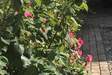تختخواب و صبحانه Rose Garden Mezzanine