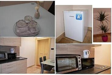 Downtown Apartments With Shared Kitchen