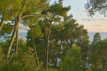 House In The Pines