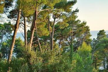 House In The Pines