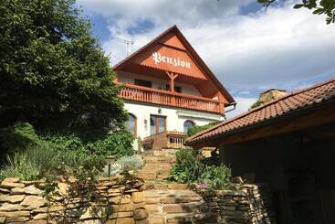 پانسیون Penzion Na Hradčanech