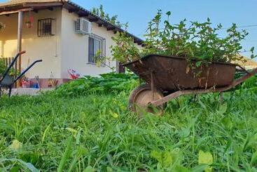 پانسیون Casa Enka