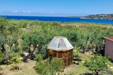 Margherita S Nest By The Sea With Birds Song