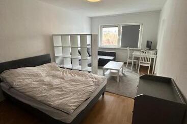 Haus Mit 3 Apartments Im Zentrum Von Rostock