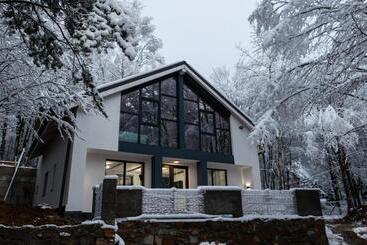 Vila Blanc Valiug Crivaia