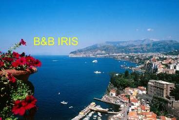 B&b Iris