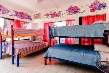 Hostel Vallarta
