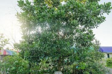 استراحتگاه Ariya Garden Home