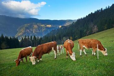 هتل Tourist Farm Kladje