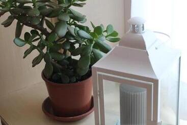 B&b La Ceresara