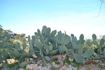 تختخواب و صبحانه Le Dimore Del Sarto Polignano A Mare