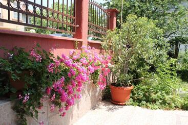 پانسیون Guest House Dara
