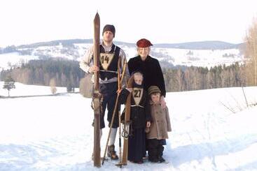 膳宿费 Penzion Seidl