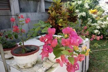 تختخواب و صبحانه Bentota Orchid House