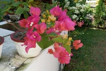تختخواب و صبحانه Bentota Orchid House