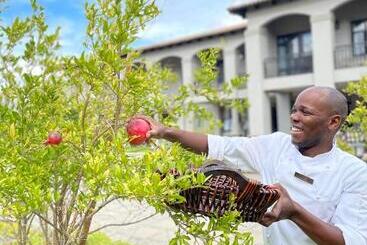 استراحتگاه Santé Wellness Retreat & Spa