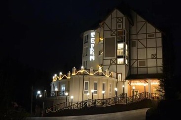 هتل Terem