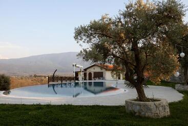 هتل Vinifera Vineyards