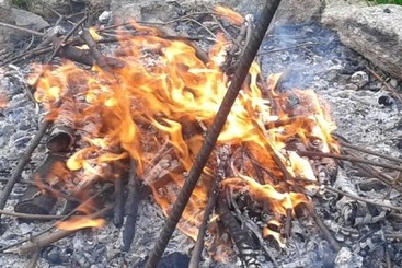 هتل Zającówka   Idealna Lokalizacja   Leśna Enklawa W Centrum Miasta! Sauna, Masaże, Zabiegi Spa!