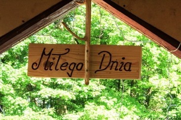 هتل Zającówka   Idealna Lokalizacja   Leśna Enklawa W Centrum Miasta! Sauna, Masaże, Zabiegi Spa!
