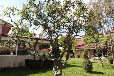 Vox Maris Grand Resort   Adults Only