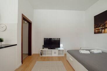 Amazing Studio By Homing