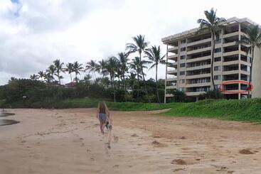 Polo Beach Club