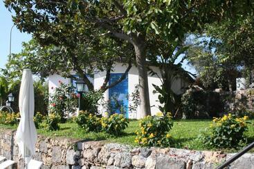 Avocado B&b Beyond