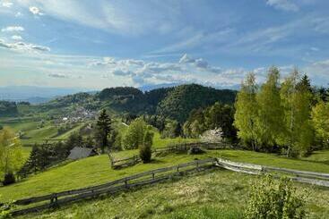 Mountain View Cottage