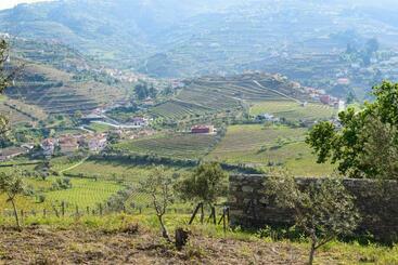 Quinta Dos Padrinhos   Suites In The Heart Of The Douro