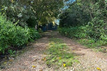Windfall Cottage