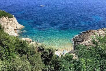 Ortensia Al Cotone
