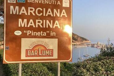 Ortensia Al Cotone