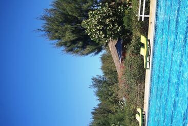 Diamarek Hotel Sur La Plage