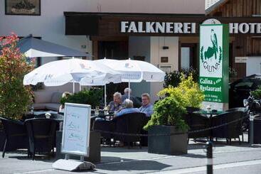 هتل Falknerei Galina