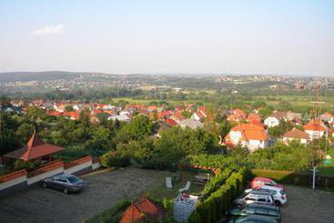 هتل Fonix Panzio
