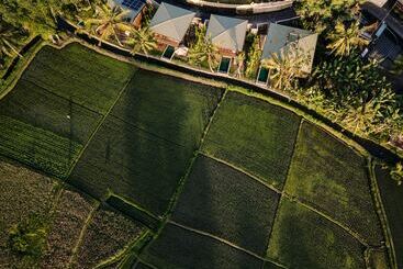 تختخواب و صبحانه Grün Canggu