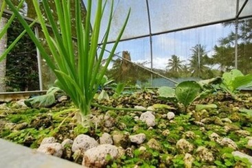 هتل Caliraya Ecoville Recreation And Farm Resort