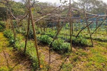 هتل Caliraya Ecoville Recreation And Farm Resort