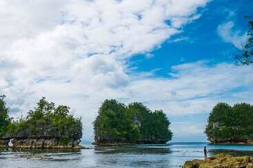 هتل Caluwayan Palm Island Resort