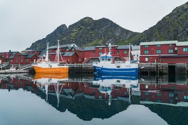 هتل Live Lofoten