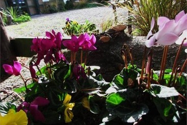هتل Christchurch City & Country Cottages   Nut Point Cottage