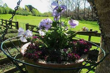 هتل Christchurch City & Country Cottages   Nut Point Cottage