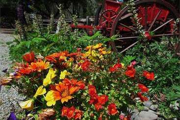 هتل Christchurch City & Country Cottages   Nut Point Cottage