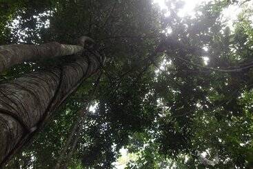 هتل Chullachaqui Ecolodge